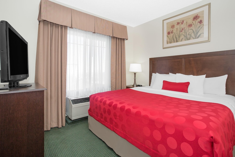 Studio, Suite, King Bed, Accessible
