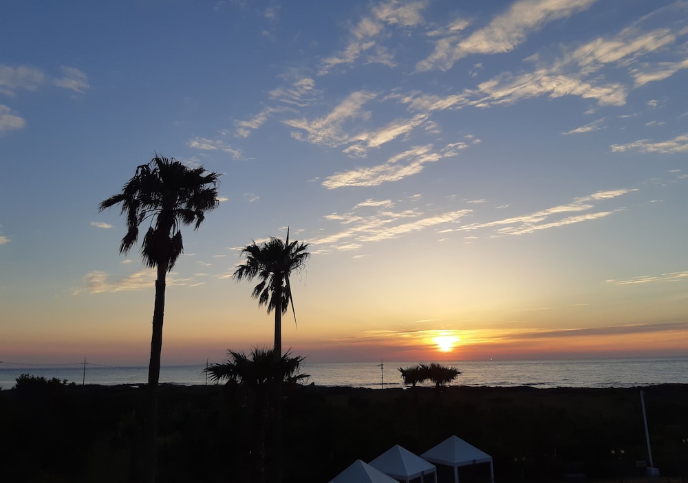 Blue Hawaii Hotel Jeju 16/24