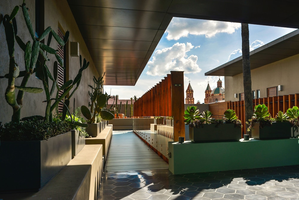 Criol Hotel 62/65