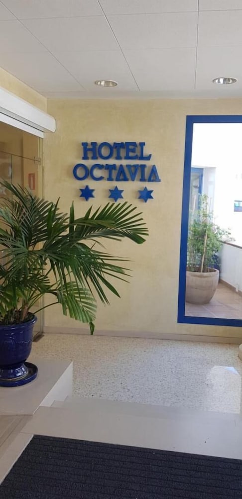 Octavia 39/58