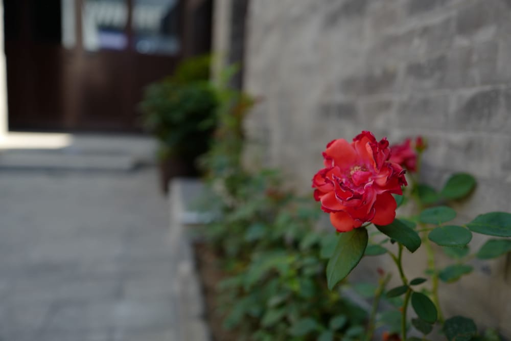 Manxin Beijing Qianmen Courtyard Hotel 8/46