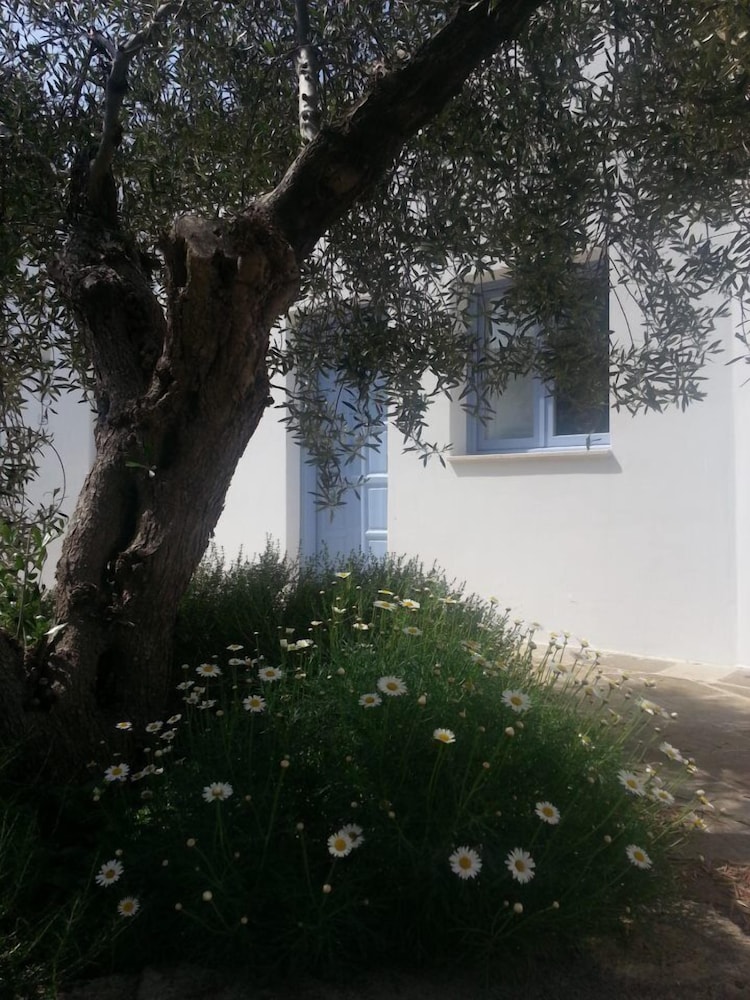 Tenuta De Marco 17/26