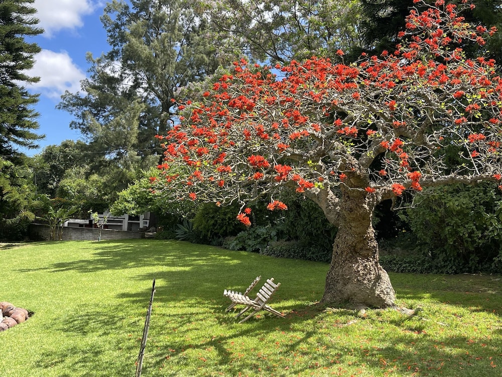 Marula Lodge Guesthouse 23/36
