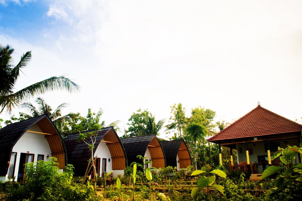 Penida Sunset Ocean View Bungalows 11/59