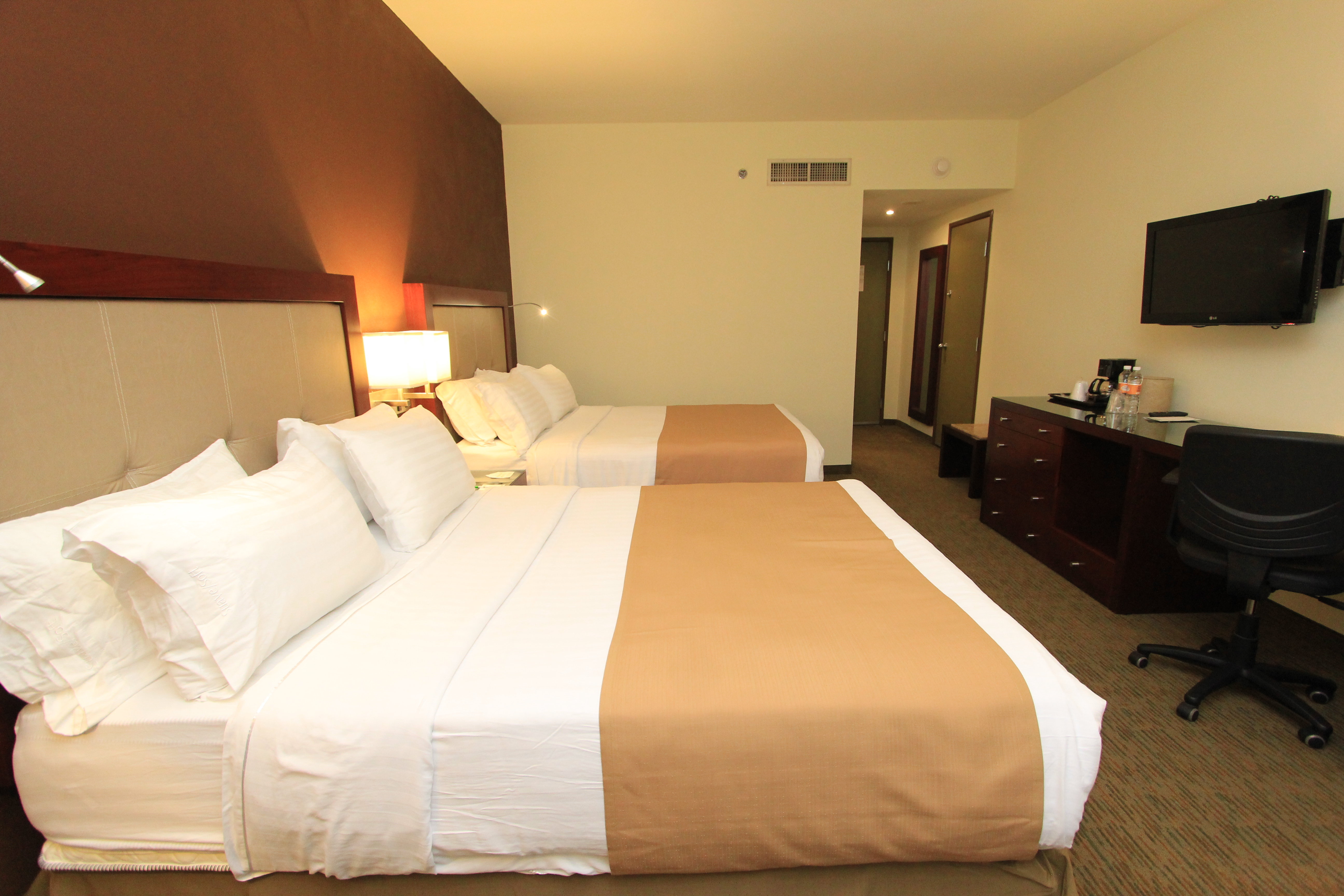 Holiday Inn Leon 14/50