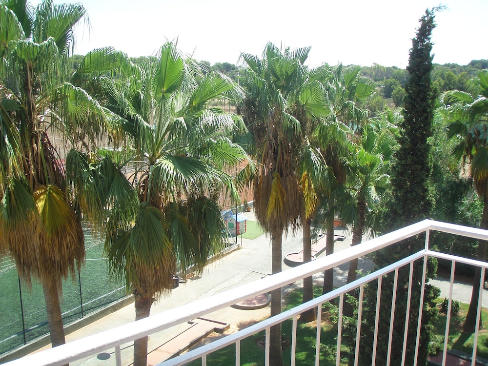 Don Miguel Playa 5/33