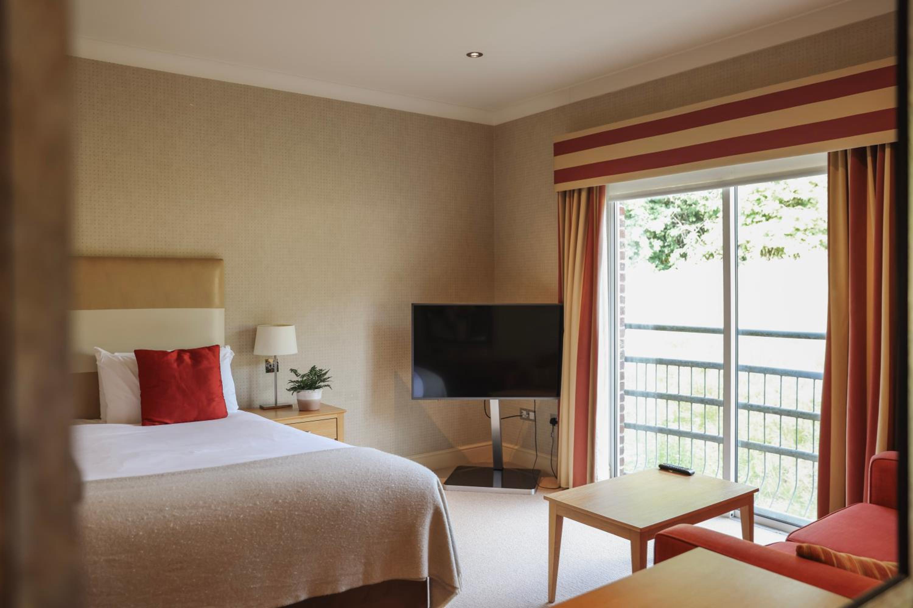 Room, Queen Bed