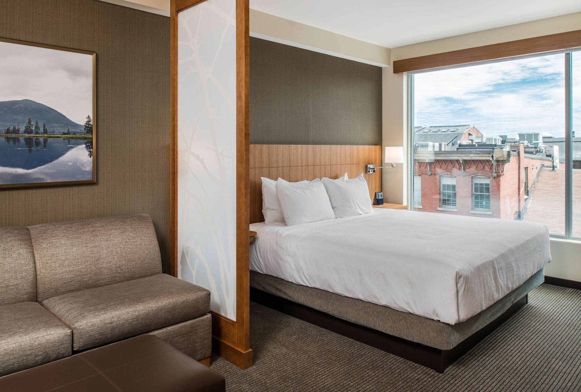 Room, King Bed, Sofa