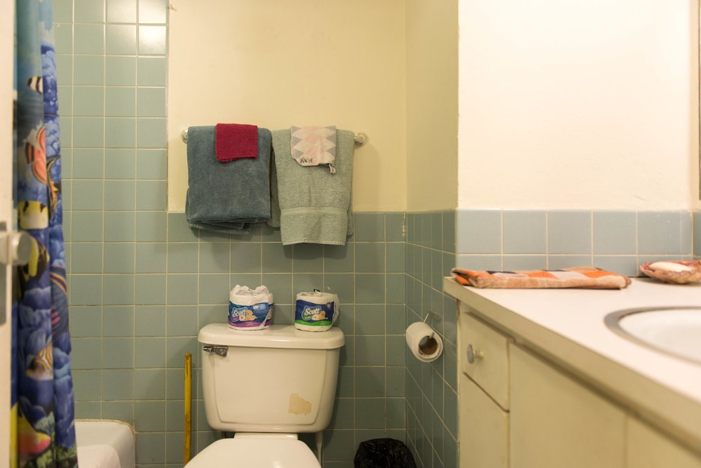BASIC, STUDIO, DOUBLE BED, KITCHEN