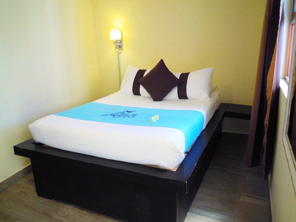 Hotel & Spa Mansion Del Burro Azul 19/50