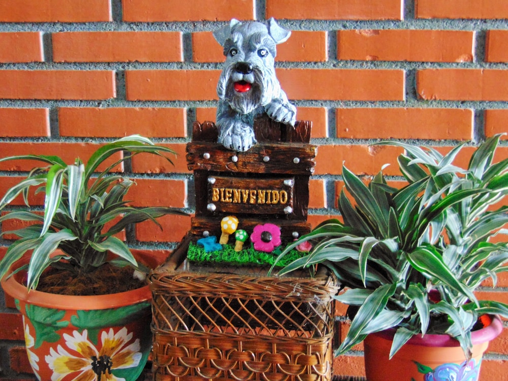 Casa Lima Bed & Breakfast 6/50