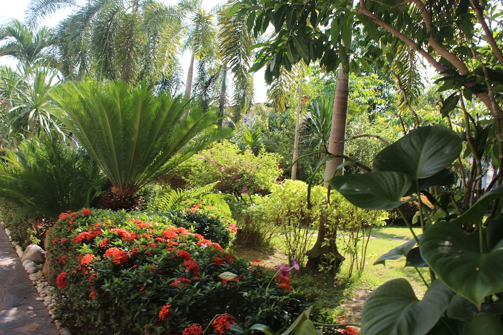White Elephant Resort 32/43