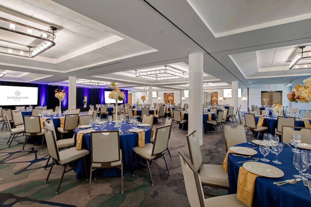 Sheraton Chapel Hill Hotel 36/50