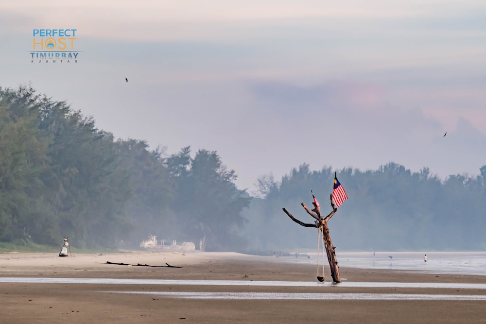 TIMUR BAY BEACHFRONT BY PERFECT HOST 44/50