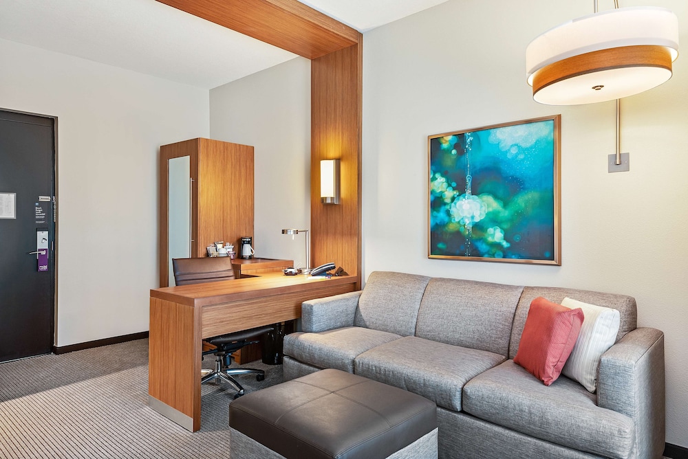 Hyatt Place Tampa/Wesley Chapel 39/61