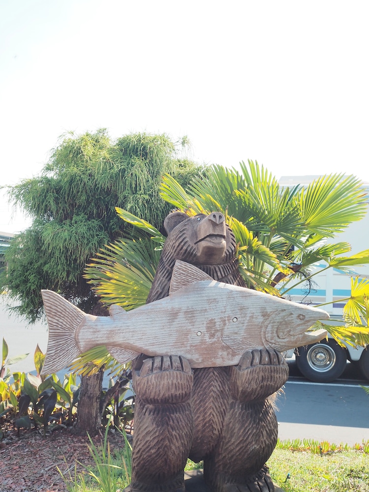 Wild Rivers Motor Lodge 18/24
