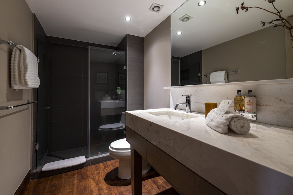 Dominion Polanco Ex Dominion Corporate Suites 8/50