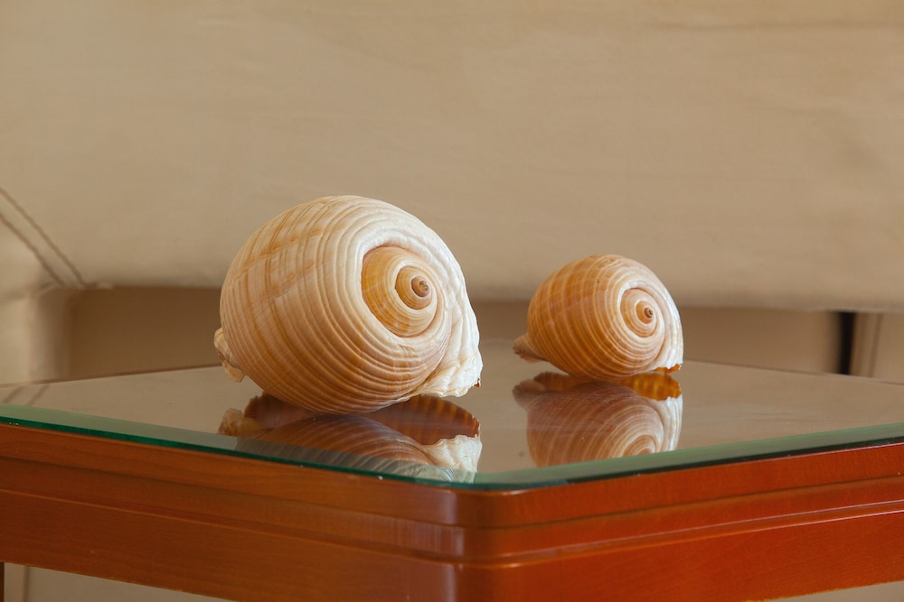 Pavlos Hotel 32/51