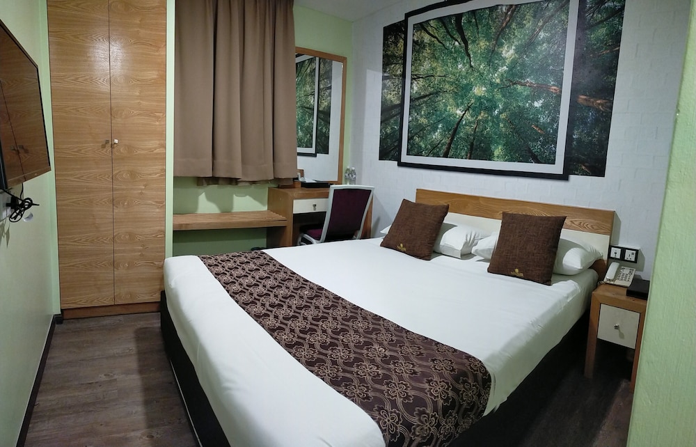 Golden Nasmir Hotel 15/36