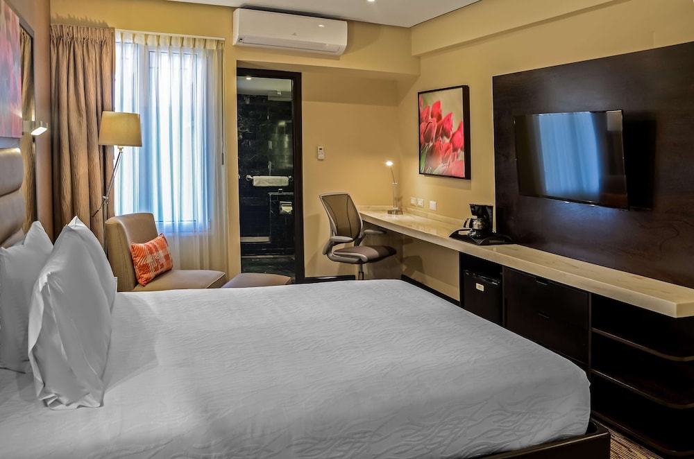 Hilton Garden Inn Guatemala City 22/58