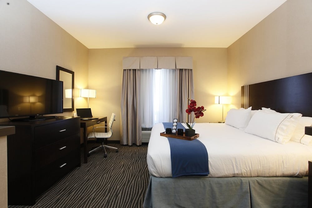Suite, King Bed, Accessible