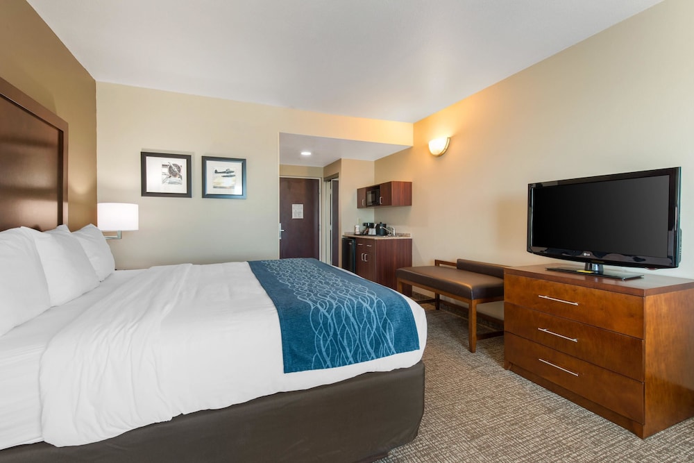 Comfort Inn and Suites Tavares North 11/38