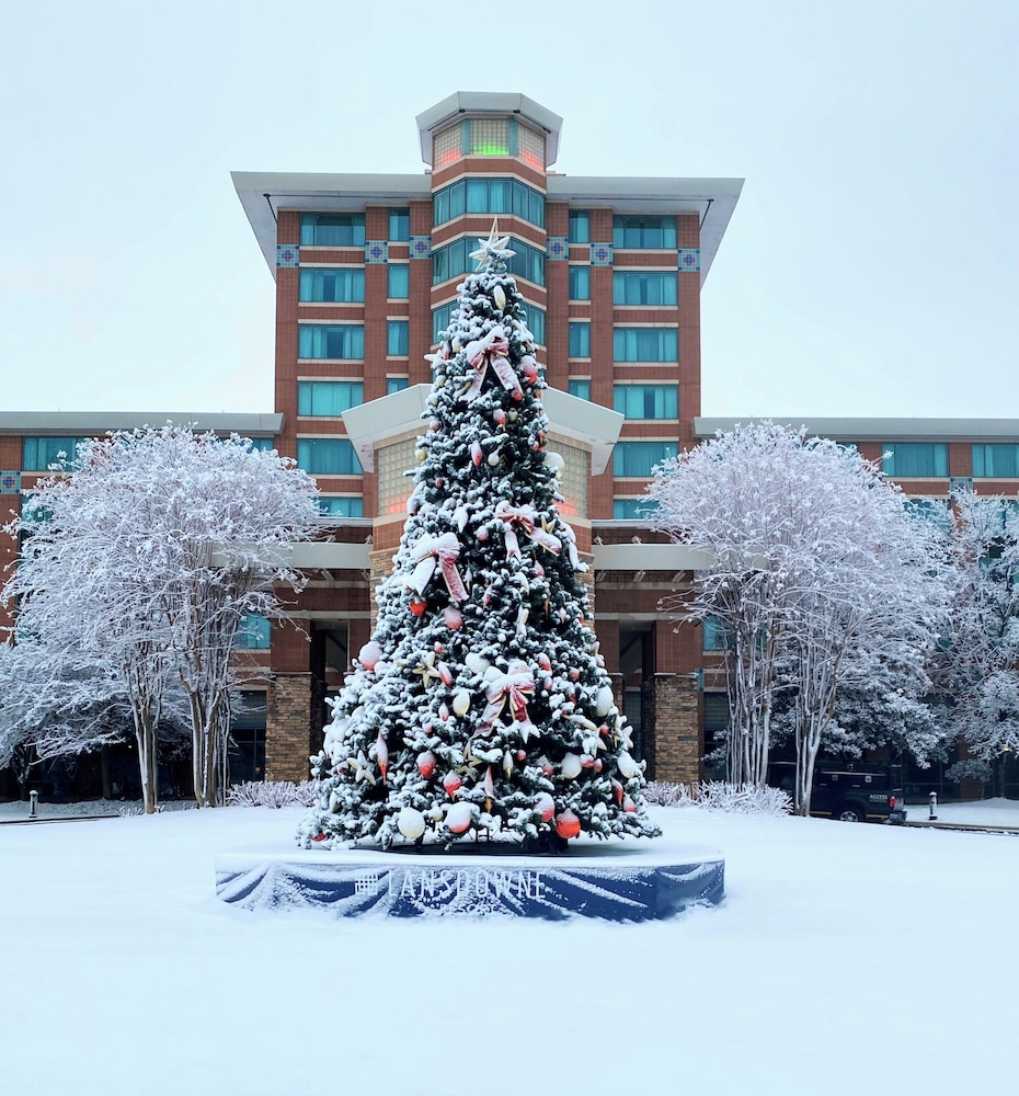 Lansdowne Resort And Spa 5/73