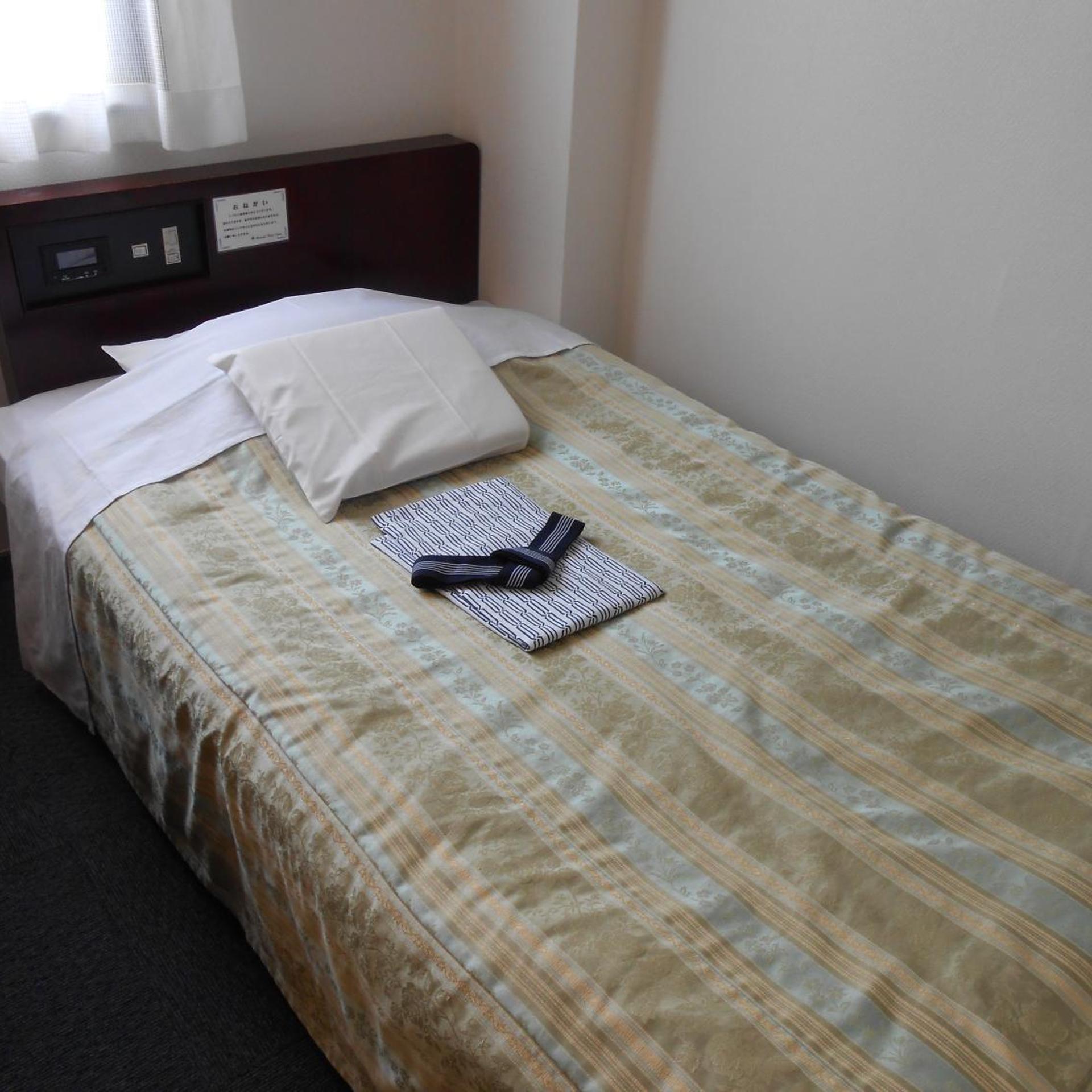 Niigata Terminal Hotel 6/20