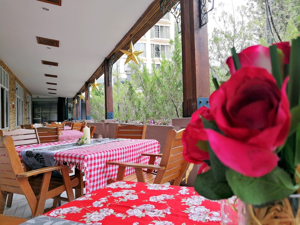 Century Pines Resort 28/50