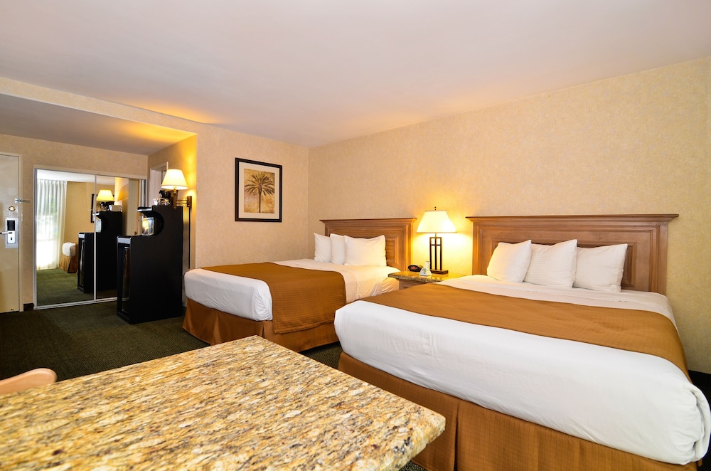 Best Western Date Tree Hotel 20/49