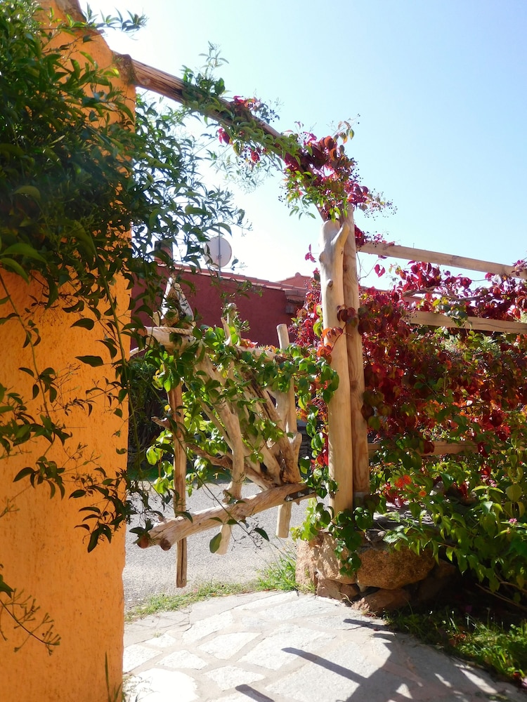 Residence La Pineta 33/50