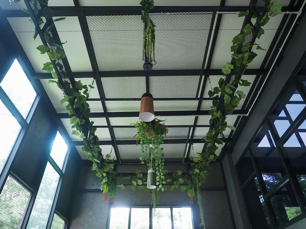The Nest Hotel By Ploy 5/41