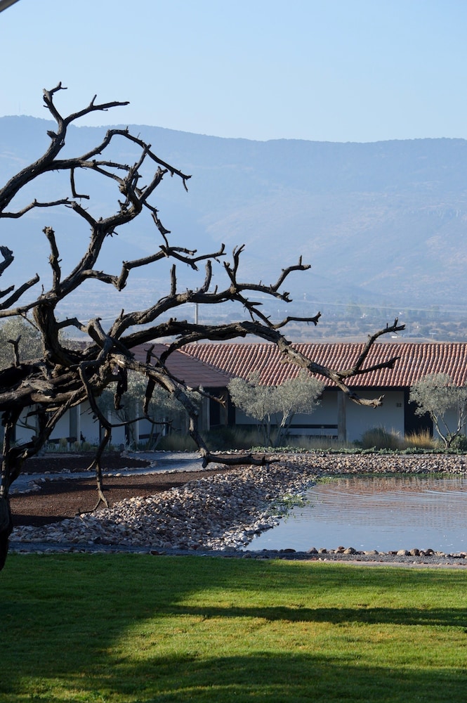 Hacienda Los Picachos 67/69