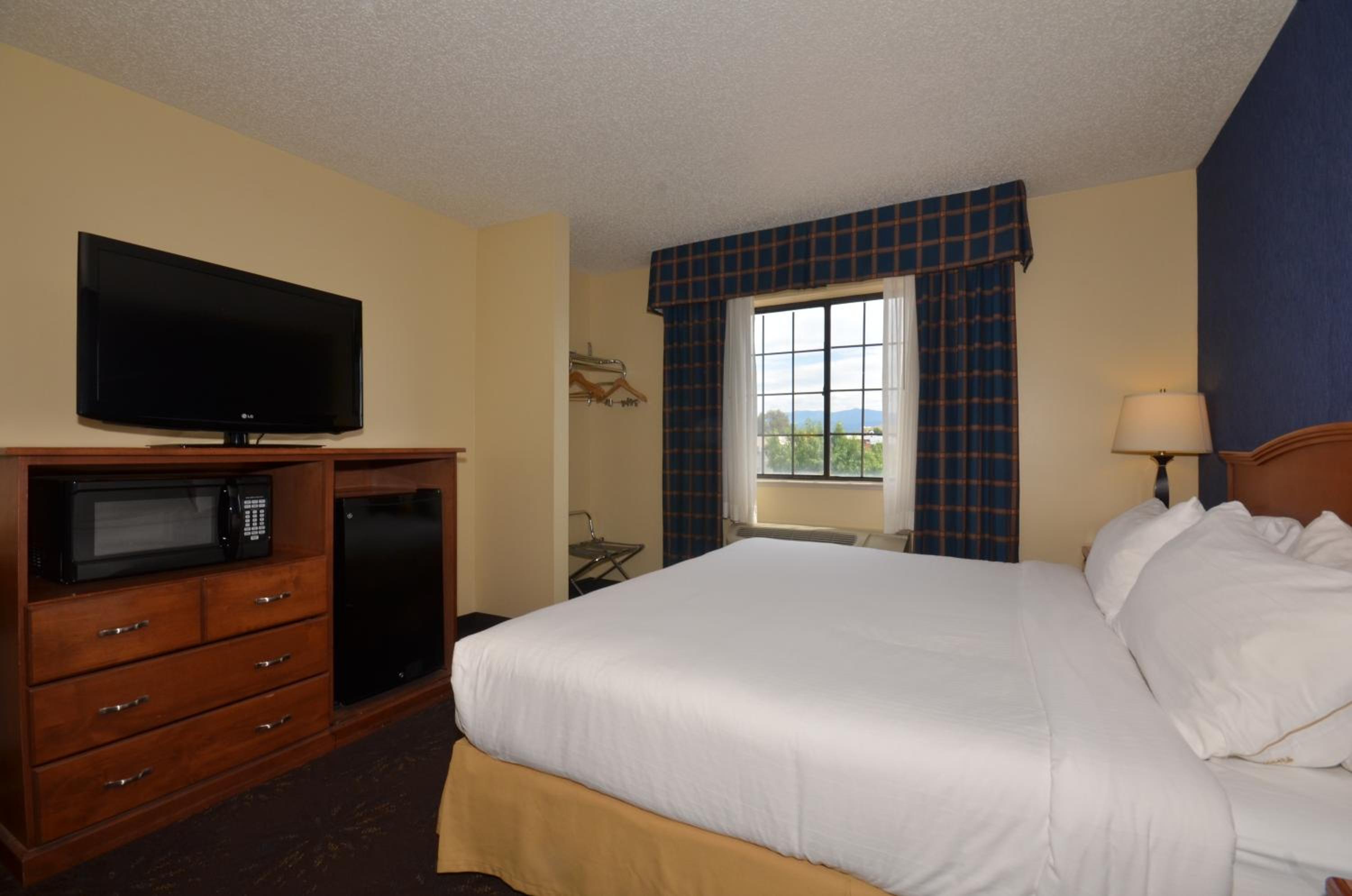 Studio, Suite, King Bed, Sofa