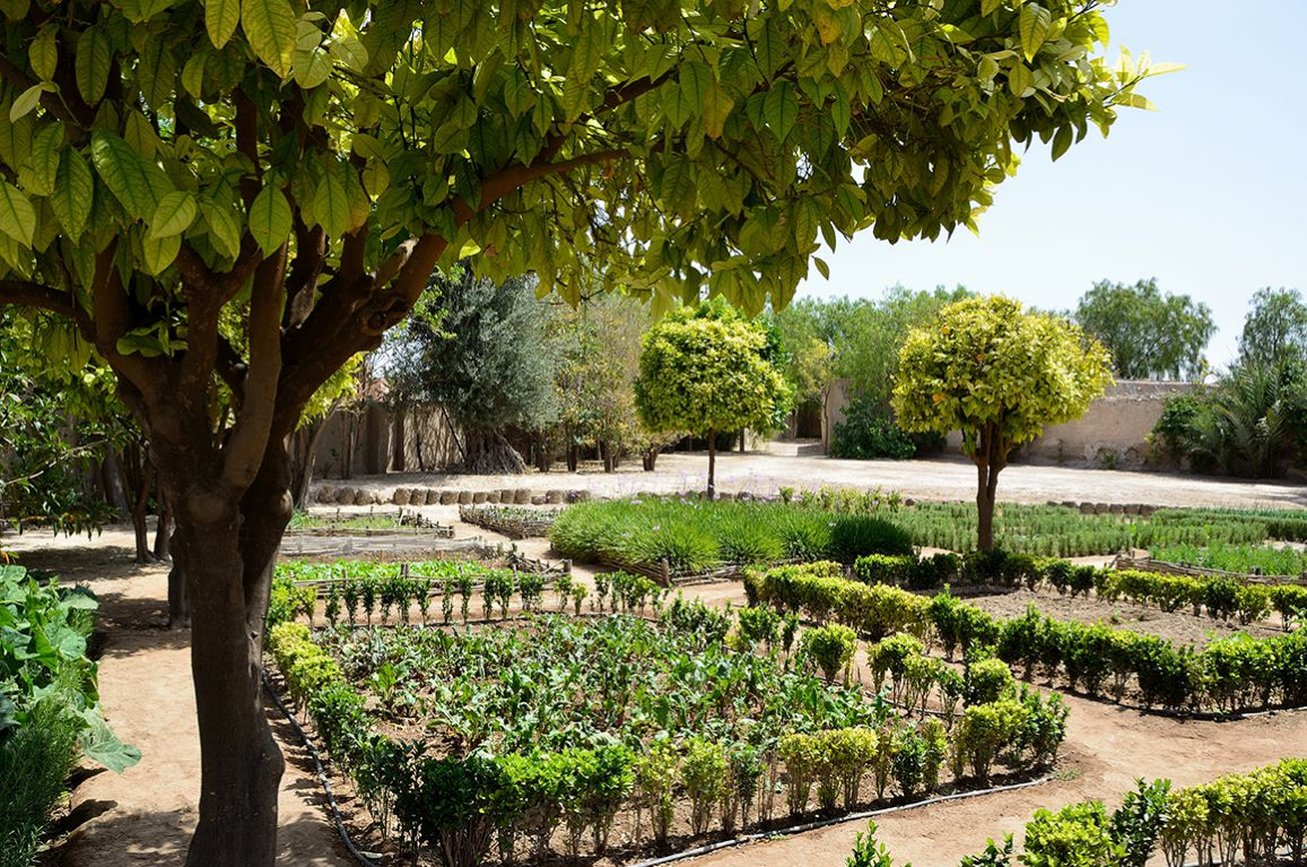 Ksar Char Bagh 76/85