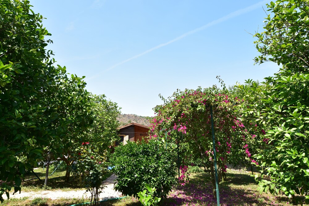 Lemon Garden Lodge 37/50