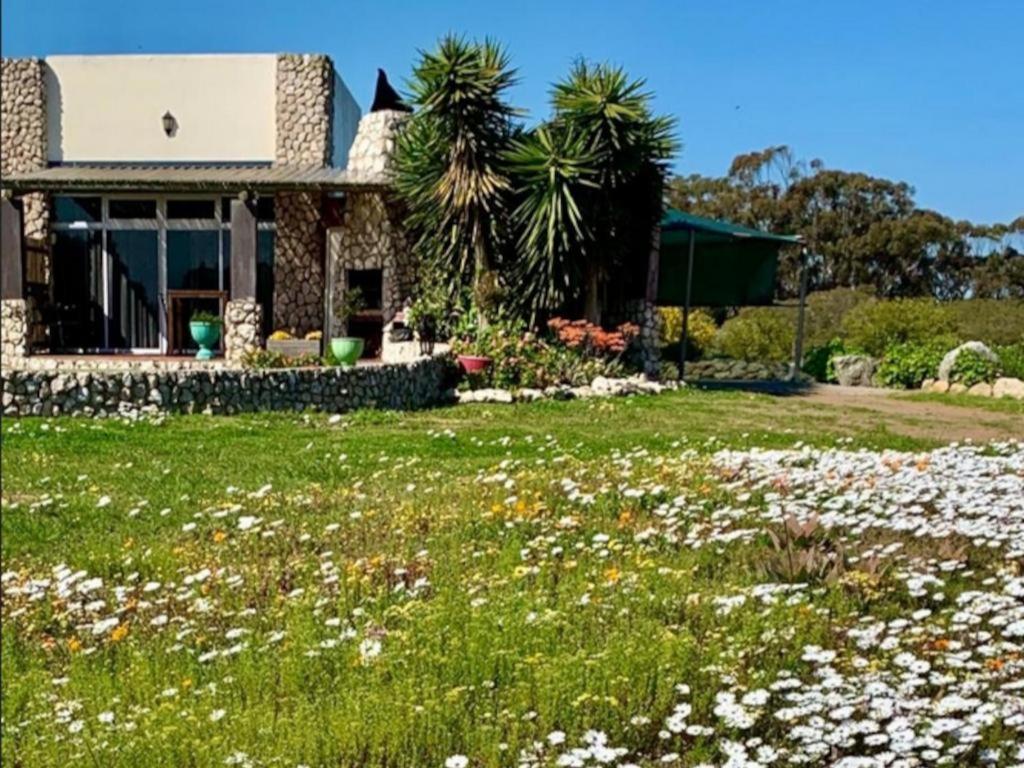 A Touch of Bushveld by the Sea 21/22