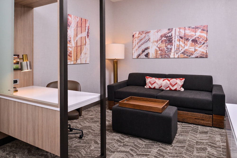 SpringHill Suites by Marriott Greensboro Airport 25/37