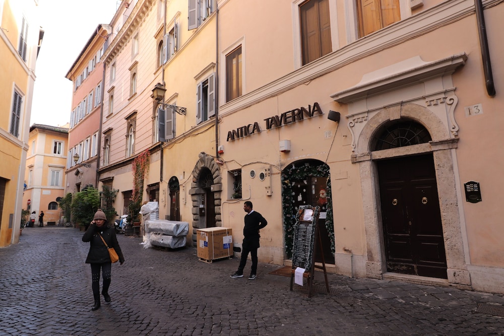 Wonder Lovely Navona 38/50