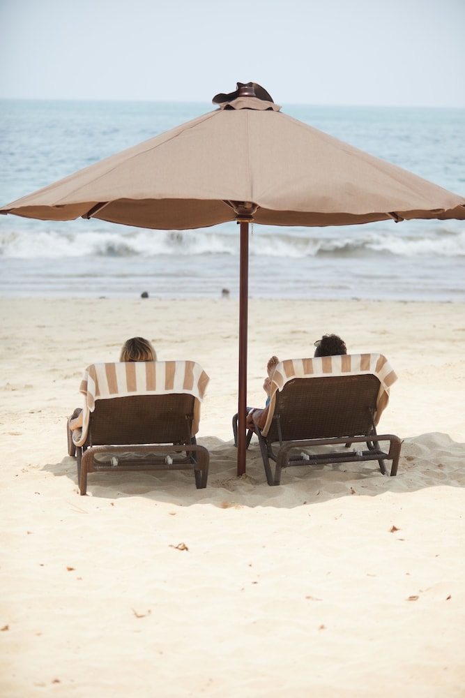 The Ahimsa Beach 36/50
