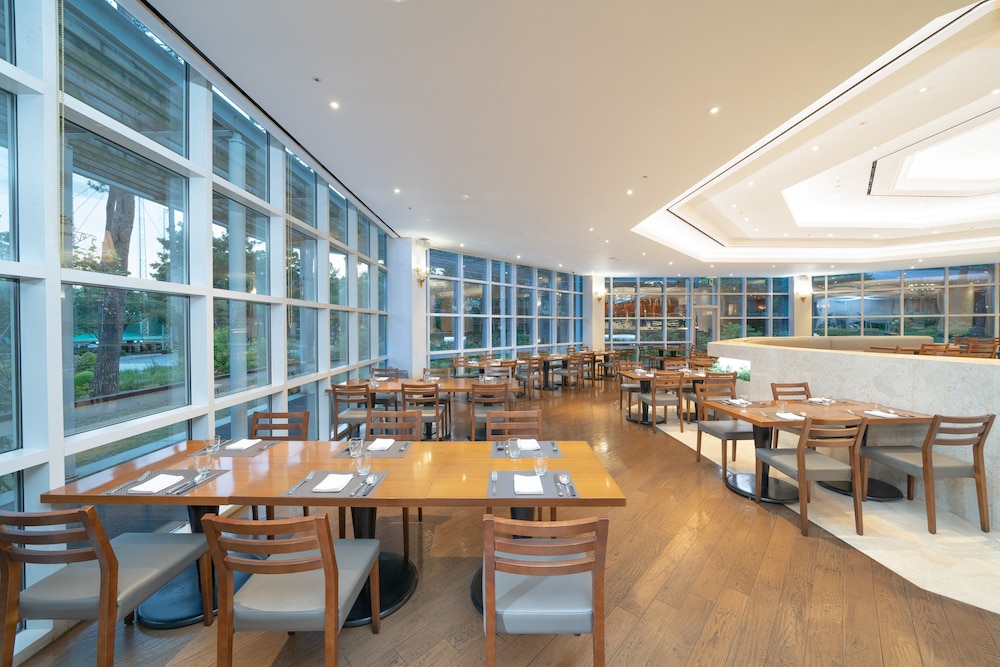 Mayfield Seoul 34/50