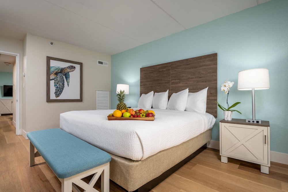 SUITE, NO VIEW, NO BALCONY