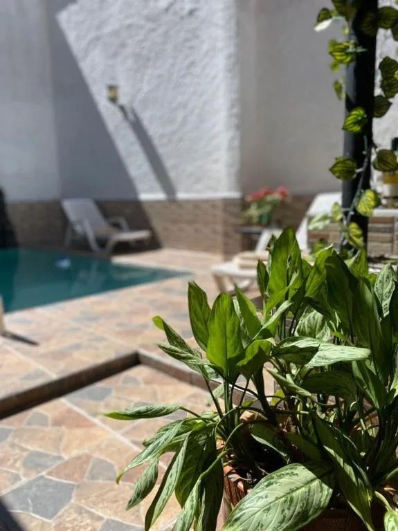 Molicie Hotel 41/46