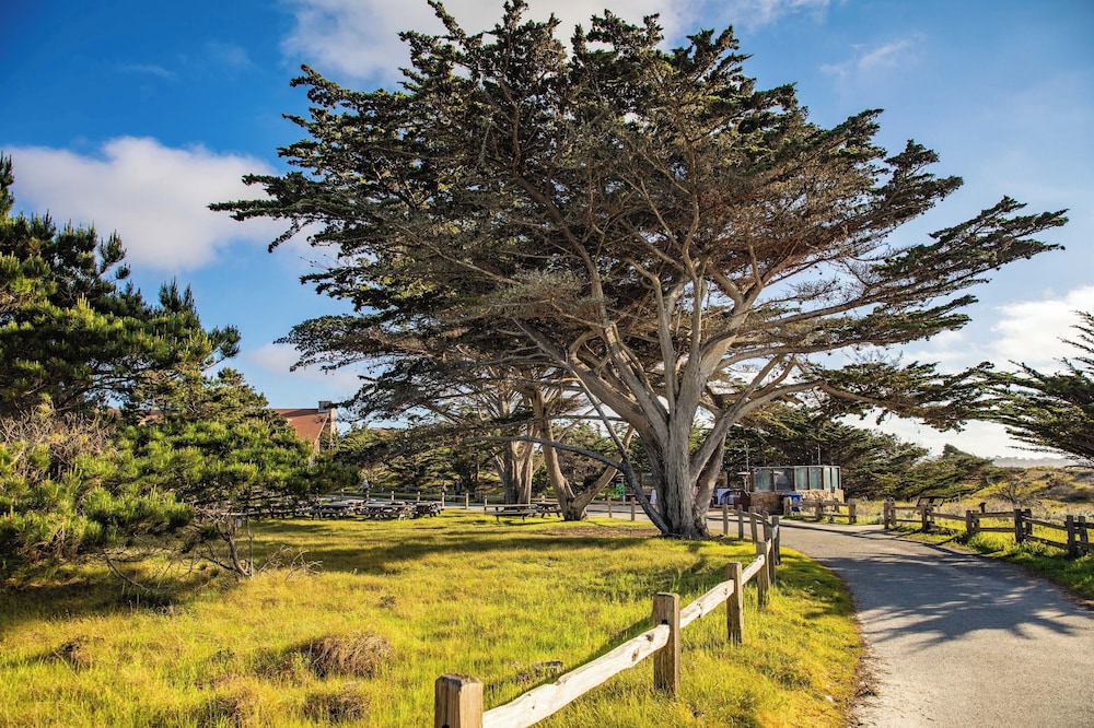 Asilomar Conference Grounds 65/66