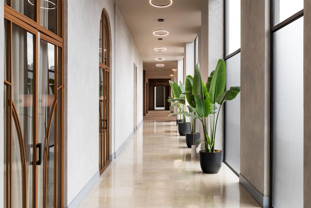Hyatt Centric San Jose Escazu in San Rafael (San Jose) (San Jose)