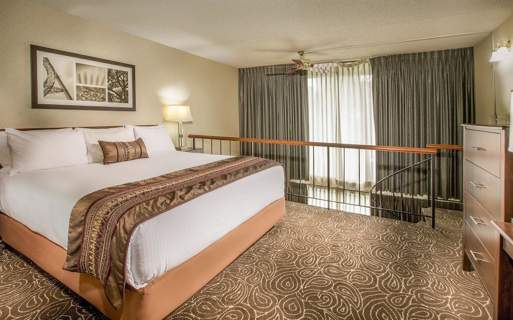 Hotel 116 Coast Bellevue Hotel 23/67