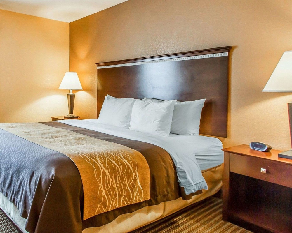 غرفة قياسية بسرير كينج، Quality Inn & Suites Mount Pleasant 7/8