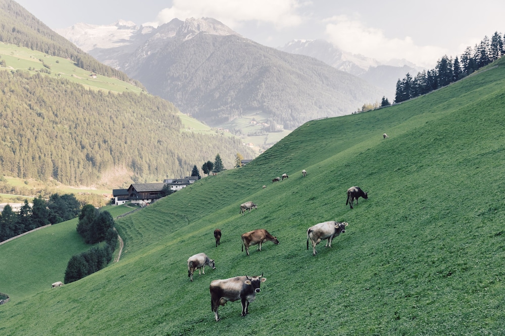 Alpenpalace Luxury Hideaway & Spa Retreat 35/50