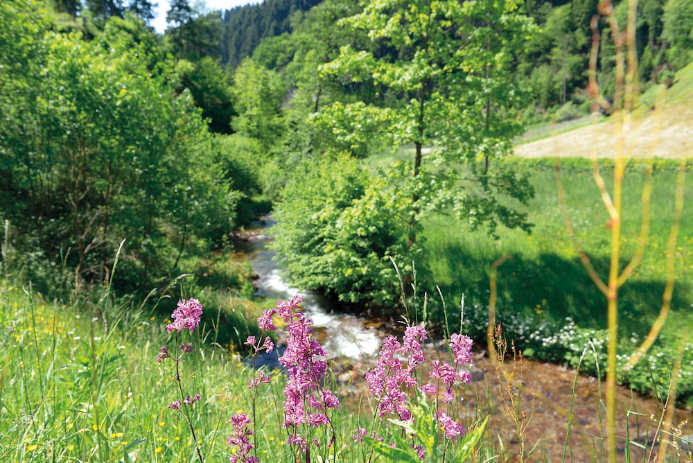 Gasthof Blume 39/50