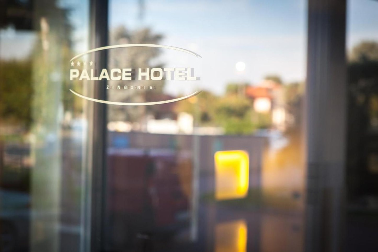 Palace Hotel Zingonia 38/67